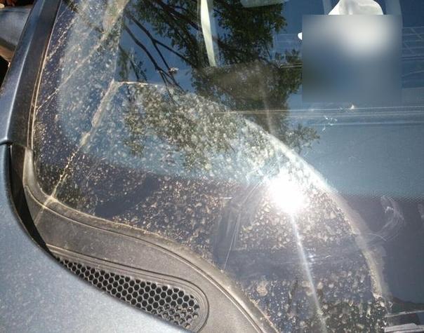 用玻璃水洗車會傷車漆嗎？玻璃水的真實用途與潛在影響